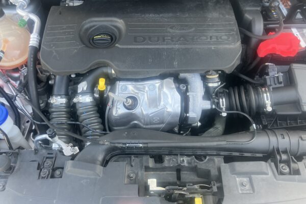 FORD FIESTA ST – LINE     NEOPATENTATI