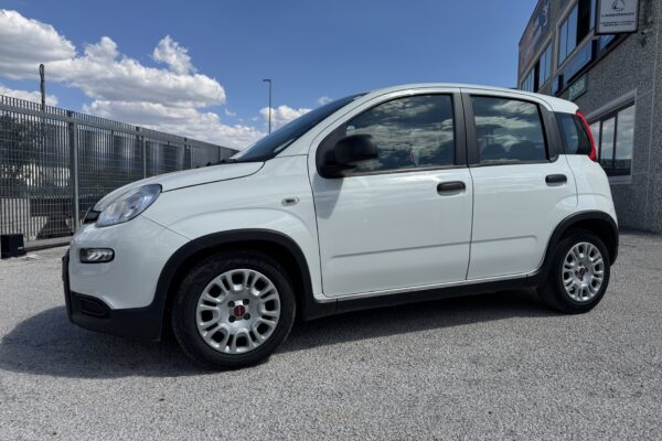 FIAT PANDA 1.0 HYBRID  5 POSTI – NEOPATENTATI