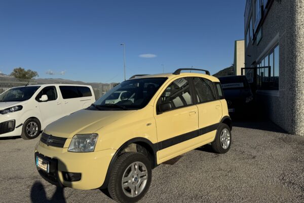 FIAT PANDA 1.3 MJT 4X4